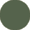 Cor: Verde militar