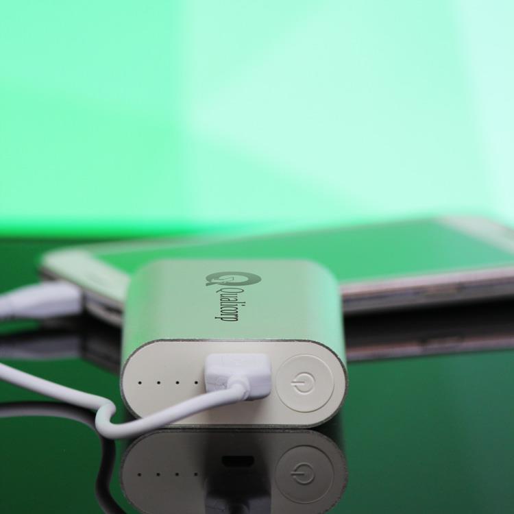 Power Bank Igor