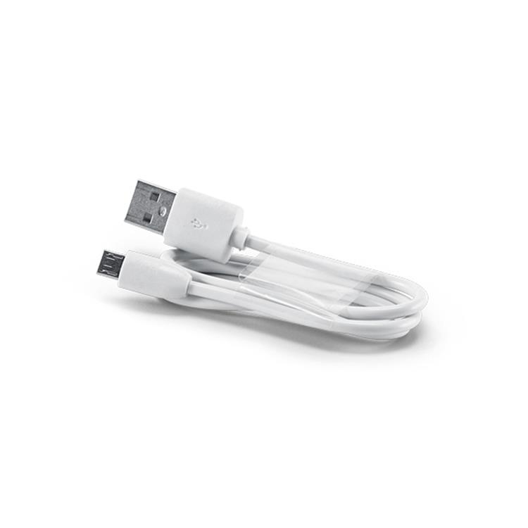 Power Bank Igor