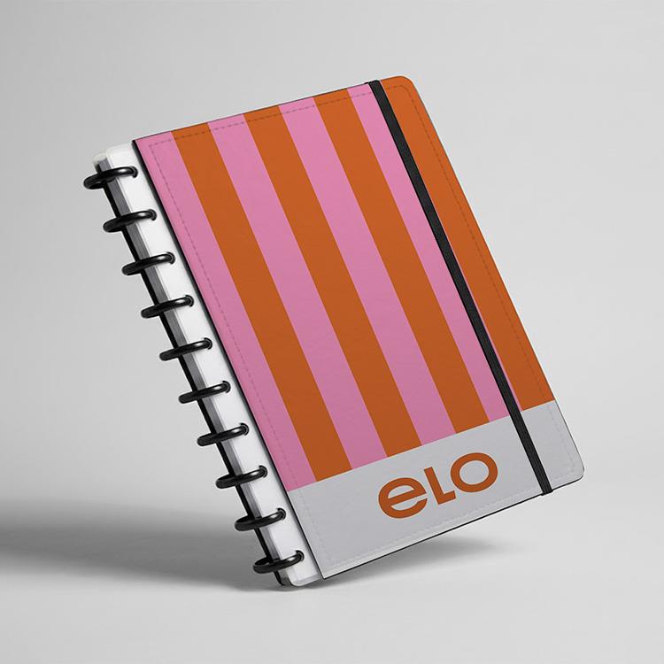 Caderno de Disco Organização Completa