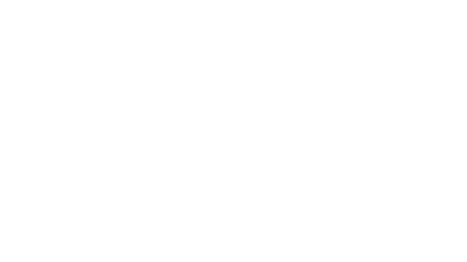 Gráfico de crescimento da Elo Brindes